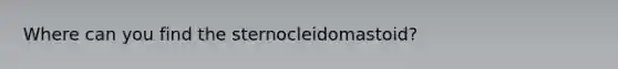 Where can you find the sternocleidomastoid?