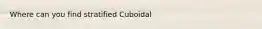 Where can you find stratified Cuboidal