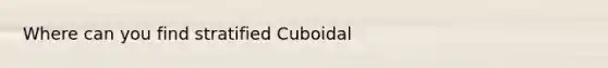 Where can you find stratified Cuboidal