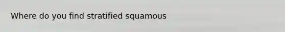 Where do you find stratified squamous