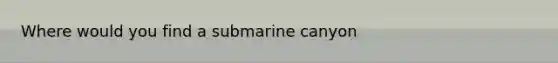 Where would you find a submarine canyon