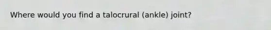 Where would you find a talocrural (ankle) joint?