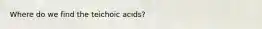 Where do we find the teichoic acids?