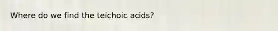 Where do we find the teichoic acids?