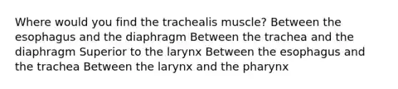 Where would you find the trachealis muscle? Between <a href='https://www.questionai.com/knowledge/kSjVhaa9qF-the-esophagus' class='anchor-knowledge'>the esophagus</a> and the diaphragm Between the trachea and the diaphragm Superior to the larynx Between the esophagus and the trachea Between the larynx and <a href='https://www.questionai.com/knowledge/ktW97n6hGJ-the-pharynx' class='anchor-knowledge'>the pharynx</a>