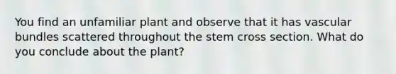 You find an unfamiliar plant and observe that it has vascular bundles scattered throughout the stem cross section. What do you conclude about the plant?