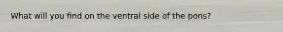 What will you find on the ventral side of the pons?