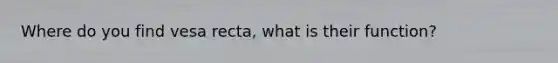 Where do you find vesa recta, what is their function?