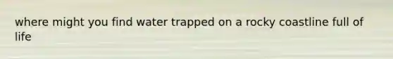 where might you find water trapped on a rocky coastline full of life