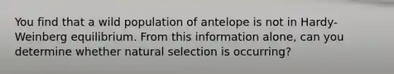 You find that a wild population of antelope is not in Hardy-Weinberg equilibrium. From this information alone, can you determine whether natural selection is occurring?