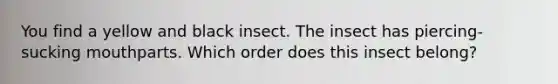 You find a yellow and black insect. The insect has piercing-sucking mouthparts. Which order does this insect belong?