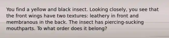 You find a yellow and black insect. Looking closely, you see that the front wings have two textures: leathery in front and membranous in the back. The insect has piercing-sucking mouthparts. To what order does it belong?