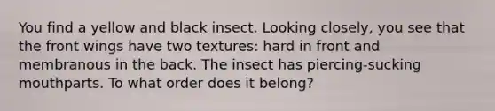 You find a yellow and black insect. Looking closely, you see that the front wings have two textures: hard in front and membranous in the back. The insect has piercing-sucking mouthparts. To what order does it belong?