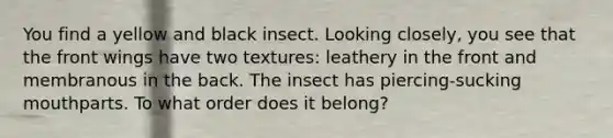 You find a yellow and black insect. Looking closely, you see that the front wings have two textures: leathery in the front and membranous in the back. The insect has piercing-sucking mouthparts. To what order does it belong?