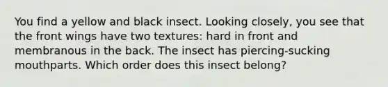 You find a yellow and black insect. Looking closely, you see that the front wings have two textures: hard in front and membranous in the back. The insect has piercing-sucking mouthparts. Which order does this insect belong?