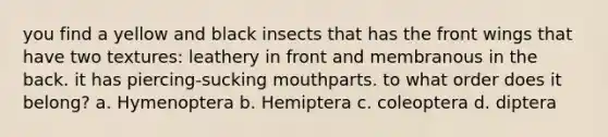 you find a yellow and black insects that has the front wings that have two textures: leathery in front and membranous in the back. it has piercing-sucking mouthparts. to what order does it belong? a. Hymenoptera b. Hemiptera c. coleoptera d. diptera