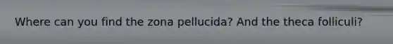 Where can you find the zona pellucida? And the theca folliculi?