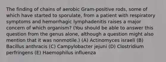 The finding of chains of aerobic Gram-positive rods, some of which have started to sporulate, from a patient with respiratory symptoms and hemorrhagic lymphadenitis raises a major concern of which organism? (You should be able to answer this question from the genus alone, although a question might also mention that it was nonmotile.) (A) Actinomyces israeli (B) Bacillus anthracis (C) Campylobacter jejuni (D) Clostridium perfringens (E) Haemophilus influenza