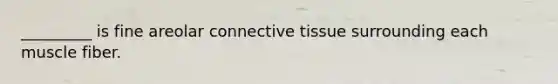 _________ is fine areolar connective tissue surrounding each muscle fiber.