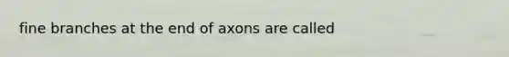 fine branches at the end of axons are called