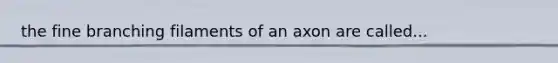 the fine branching filaments of an axon are called...