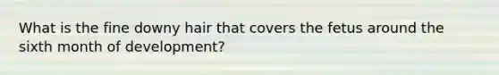 What is the fine downy hair that covers the fetus around the sixth month of development?