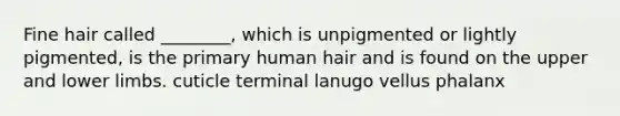 Fine hair called ________, which is unpigmented or lightly pigmented, is the primary human hair and is found on the upper and lower limbs. cuticle terminal lanugo vellus phalanx