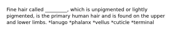 Fine hair called _________, which is unpigmented or lightly pigmented, is the primary human hair and is found on the upper and lower limbs. *lanugo *phalanx *vellus *cuticle *terminal