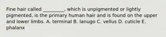 Fine hair called _________, which is unpigmented or lightly pigmented, is the primary human hair and is found on the upper and lower limbs. A. terminal B. lanugo C. vellus D. cuticle E. phalanx