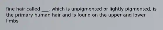 fine hair called ___, which is unpigmented or lightly pigmented, is the primary human hair and is found on the upper and lower limbs