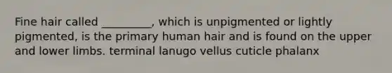 Fine hair called _________, which is unpigmented or lightly pigmented, is the primary human hair and is found on the upper and lower limbs. terminal lanugo vellus cuticle phalanx