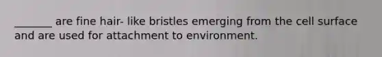 _______ are fine hair- like bristles emerging from the cell surface and are used for attachment to environment.