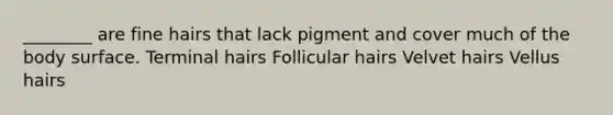 ________ are fine hairs that lack pigment and cover much of the body surface. Terminal hairs Follicular hairs Velvet hairs Vellus hairs