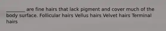 ________ are fine hairs that lack pigment and cover much of the body surface. Follicular hairs Vellus hairs Velvet hairs Terminal hairs