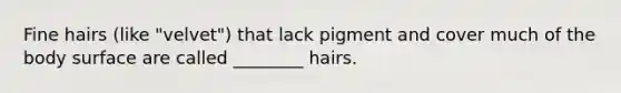 Fine hairs (like "velvet") that lack pigment and cover much of the body surface are called ________ hairs.