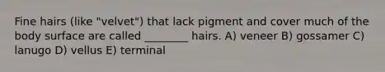 Fine hairs (like "velvet") that lack pigment and cover much of the body surface are called ________ hairs. A) veneer B) gossamer C) lanugo D) vellus E) terminal