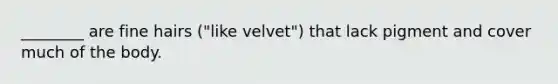 ________ are fine hairs ("like velvet") that lack pigment and cover much of the body.