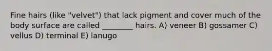 Fine hairs (like "velvet") that lack pigment and cover much of the body surface are called ________ hairs. A) veneer B) gossamer C) vellus D) terminal E) lanugo