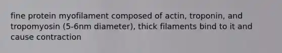 fine protein myofilament composed of actin, troponin, and tropomyosin (5-6nm diameter), thick filaments bind to it and cause contraction