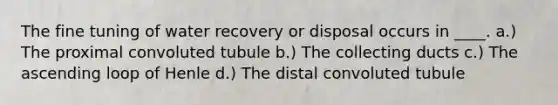 The fine tuning of water recovery or disposal occurs in ____. a.) The proximal convoluted tubule b.) The collecting ducts c.) The ascending loop of Henle d.) The distal convoluted tubule