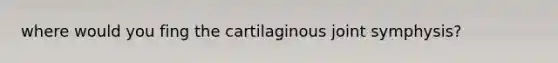 where would you fing the cartilaginous joint symphysis?