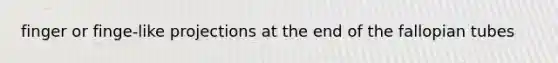 finger or finge-like projections at the end of the fallopian tubes