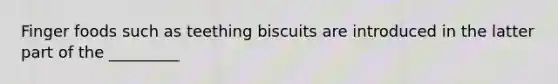 Finger foods such as teething biscuits are introduced in the latter part of the _________