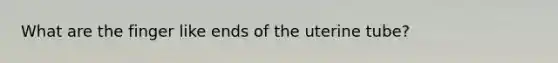 What are the finger like ends of the uterine tube?