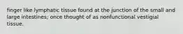 finger like lymphatic tissue found at the junction of the small and large intestines; once thought of as nonfunctional vestigial tissue.