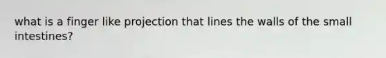 what is a finger like projection that lines the walls of <a href='https://www.questionai.com/knowledge/kt623fh5xn-the-small-intestine' class='anchor-knowledge'>the small intestine</a>s?