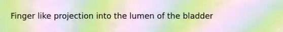 Finger like projection into the lumen of the bladder