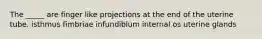 The _____ are finger like projections at the end of the uterine tube. isthmus fimbriae infundiblum internal os uterine glands