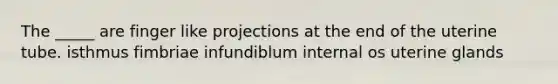 The _____ are finger like projections at the end of the uterine tube. isthmus fimbriae infundiblum internal os uterine glands