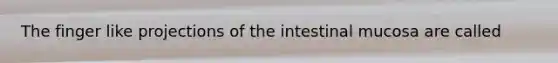 The finger like projections of the intestinal mucosa are called